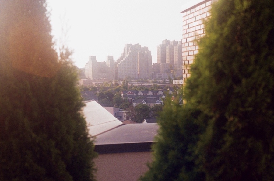 Golden Hour Housewarming (On Film), photo 8 of 11