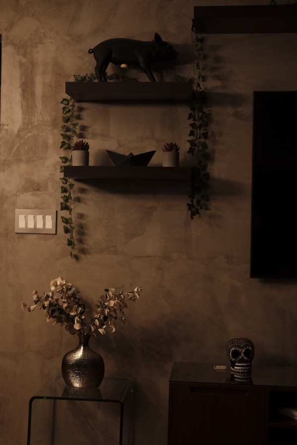 where the heart is, photo 1 of 1